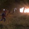 DayZ Steam Key GLOBAL - Image 3