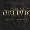 The Elder Scrolls IV: Oblivion GOTY Steam Key GLOBAL - Image 2