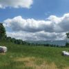 Transport Fever 2 - Steam - Key GLOBAL - Image 3