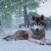 Planet Zoo Steam Key GLOBAL - Image 3