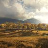 theHunter: Call of the Wild 2019 Edition Steam Key GLOBAL - Image 3