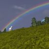 Wurm Unlimited Steam Key GLOBAL - Image 2