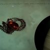 AI War 2 Steam Key GLOBAL - Image 3