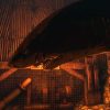 Depth Steam Key GLOBAL - Image 3