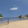 Tropico 3 Steam Key GLOBAL - Image 3