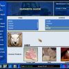 Capitalism 2 Steam Key GLOBAL - Image 3