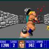 Wolfenstein 3D Steam Key GLOBAL - Image 3