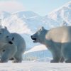 Planet Zoo: Arctic Pack - Steam Key - GLOBAL - Image 3