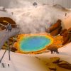 Project Winter (PC) - Steam Key - GLOBAL - Image 3