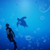 Beyond Blue (PC) - Steam Key - GLOBAL - Image 3