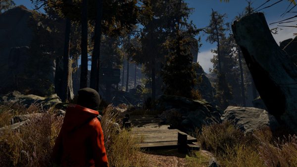 Through the Woods Steam Key GLOBAL - Image 3