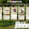 Wingspan (PC) - Steam Key - GLOBAL - Image 3