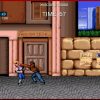 Double Dragon Trilogy Steam Key GLOBAL - Image 3
