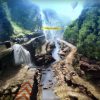 Insane 2 Steam Key GLOBAL - Image 2