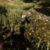 Die Young Steam Key GLOBAL - Image 2