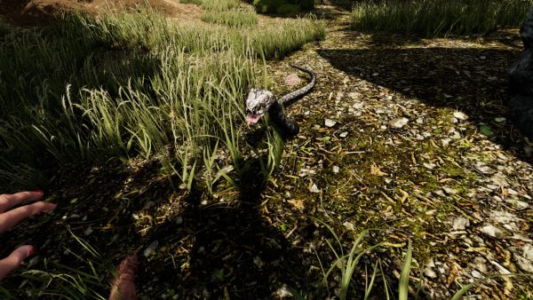 Die Young Steam Key GLOBAL - Image 2