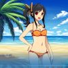 Sakura Beach 2 Steam Key GLOBAL - Image 3