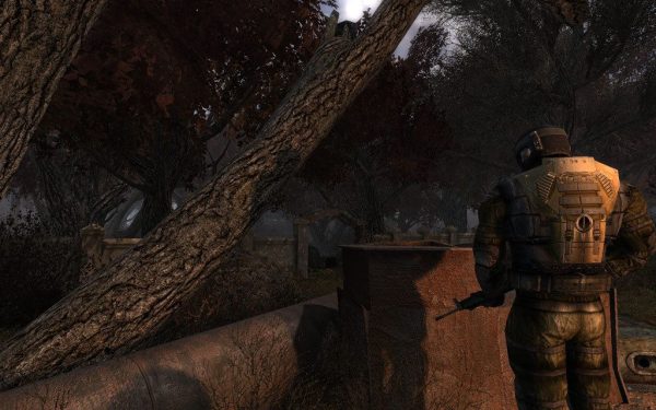 S.T.A.L.K.E.R. Clear Sky Steam Key EUROPE - Image 2