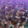 Pandora: First Contact Steam Key GLOBAL - Image 3