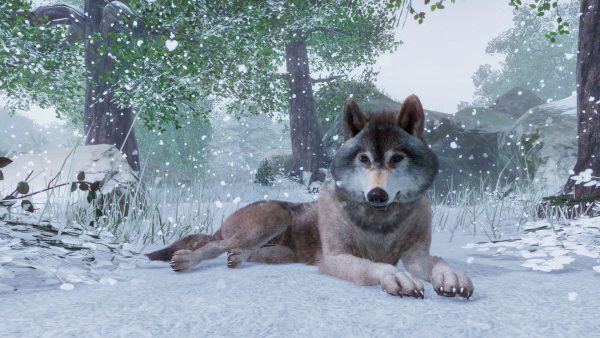 Planet Zoo - Steam - Key EUROPE - Image 3