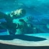 Last Tide Steam Key GLOBAL - Image 3
