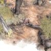 Paperbark - Steam - Key GLOBAL - Image 2