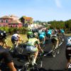 Pro Cycling Manager 2017 Steam Key GLOBAL - Image 2