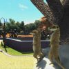 Zoo Tycoon: Ultimate Animal Collection Xbox Live Key Xbox One UNITED STATES - Image 3