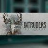 Intruders: Hide and Seek (PC) - Steam Key - GLOBAL - Image 2