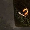 Garshasp: The Monster Slayer Steam Key GLOBAL - Image 3