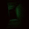 Doorways: Prelude Steam Key GLOBAL - Image 2