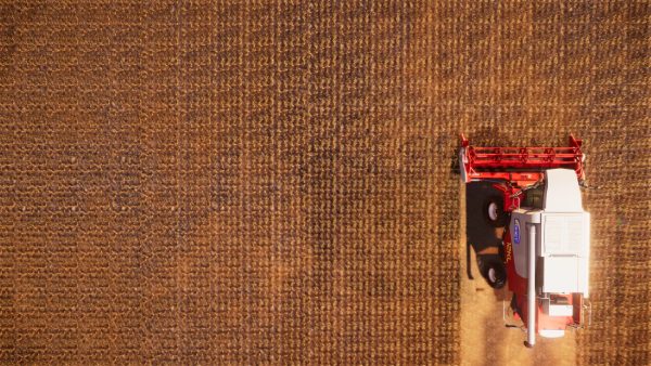 Real Farm Steam Key GLOBAL - Image 3
