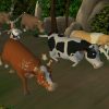 Bone: The Great Cow Race Steam Key GLOBAL - Image 2
