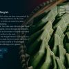 Wanderlust Travel Stories - Steam - Key GLOBAL - Image 3