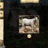 Adventures of Robinson Crusoe Steam Key GLOBAL - Image 3