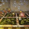 Noahmund Steam Key GLOBAL - Image 2