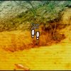 A Trip to Yugoslavia: Director's Cut Steam Key GLOBAL - Image 3
