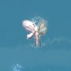 THE TEAR Steam Key GLOBAL - Image 3