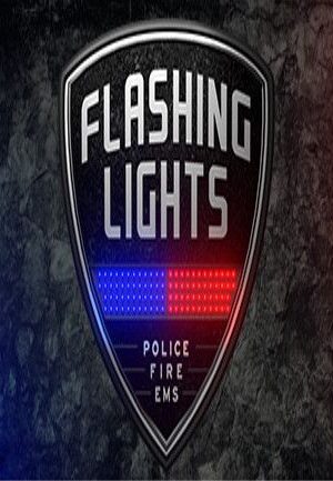 Flashing Lights - Police Fire EMS Steam Key GLOBAL