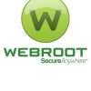 Webroot SecureAnywhere AntiVirus 1 Device GLOBAL Key PC 1 Year