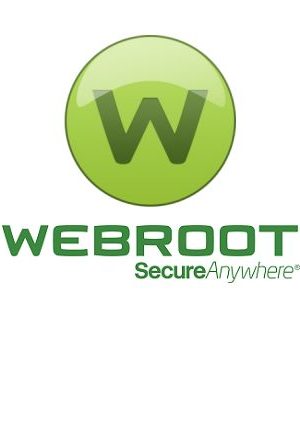 Webroot SecureAnywhere AntiVirus 1 Device GLOBAL Key PC 1 Year