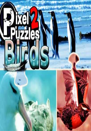 Pixel Puzzles 2: Birds Steam Key GLOBAL