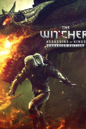 The Witcher 2: Assassins of Kings Enhanced Edition GOG.COM Key EUROPE