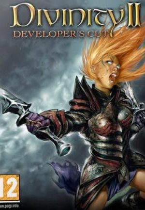 Divinity II: Developer's Cut GOG.COM Key GLOBAL