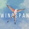 Wingspan (PC) - Steam Key - GLOBAL