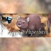 Paperbark - Steam - Key GLOBAL