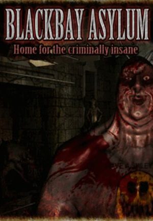 Blackbay Asylum Steam Key GLOBAL