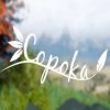 Copoka Steam Key GLOBAL