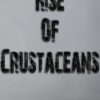 Rise of Crustaceans Steam Key GLOBAL