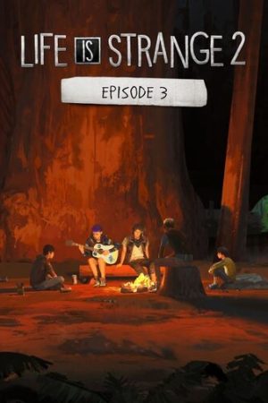 Life is Strange 2 Episode 3 Steam Global